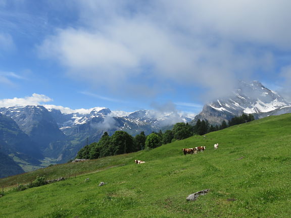 Панорама гларусских гор Панорама гларусских гор