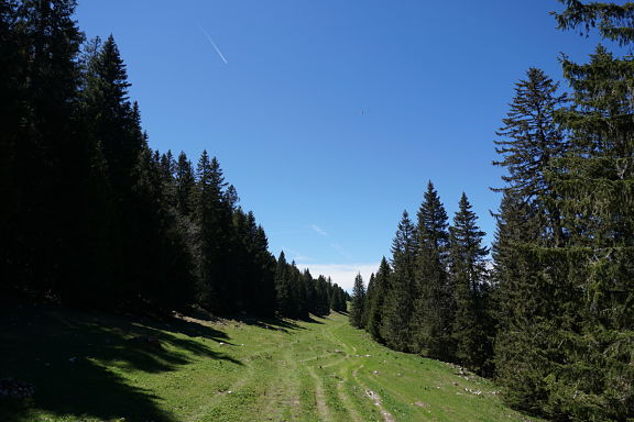 Горное плато Горное плато