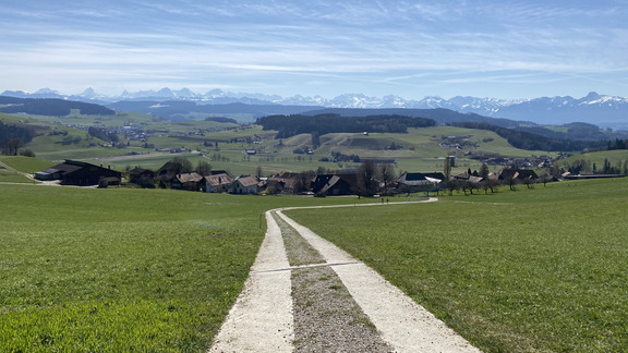Альпийская панорама Альпийская панорама