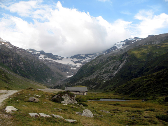 Alp Muot Selvas