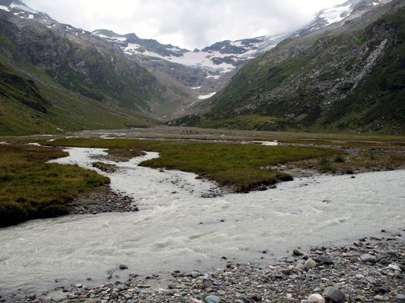 Alp Muot Selvas