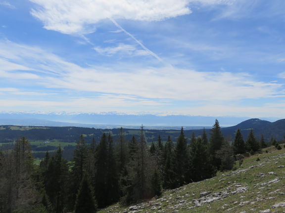 Панорама